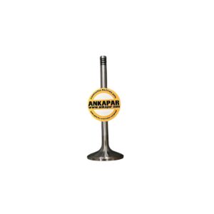 Liebherr 9279578 Inlet Valve
